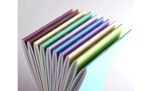 Cahier 96 pages grand format
