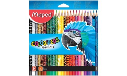 Crayons de couleur (coffret de 24)